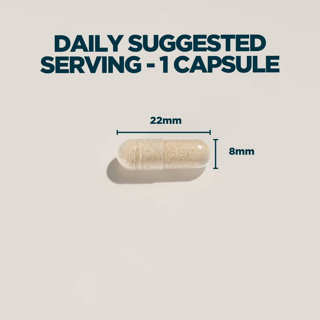 Ashwagandha KSM66 Capsules