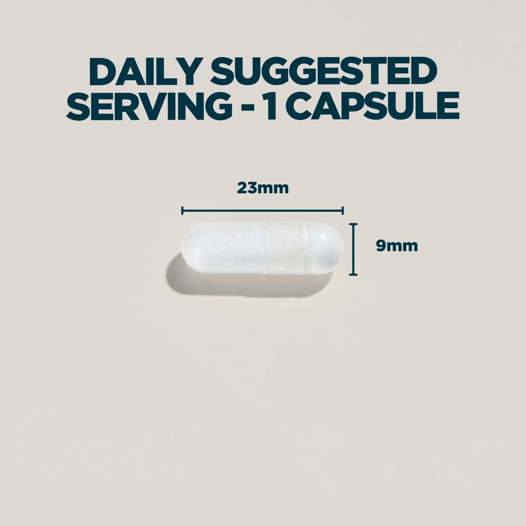 Zinc & Magnesium
