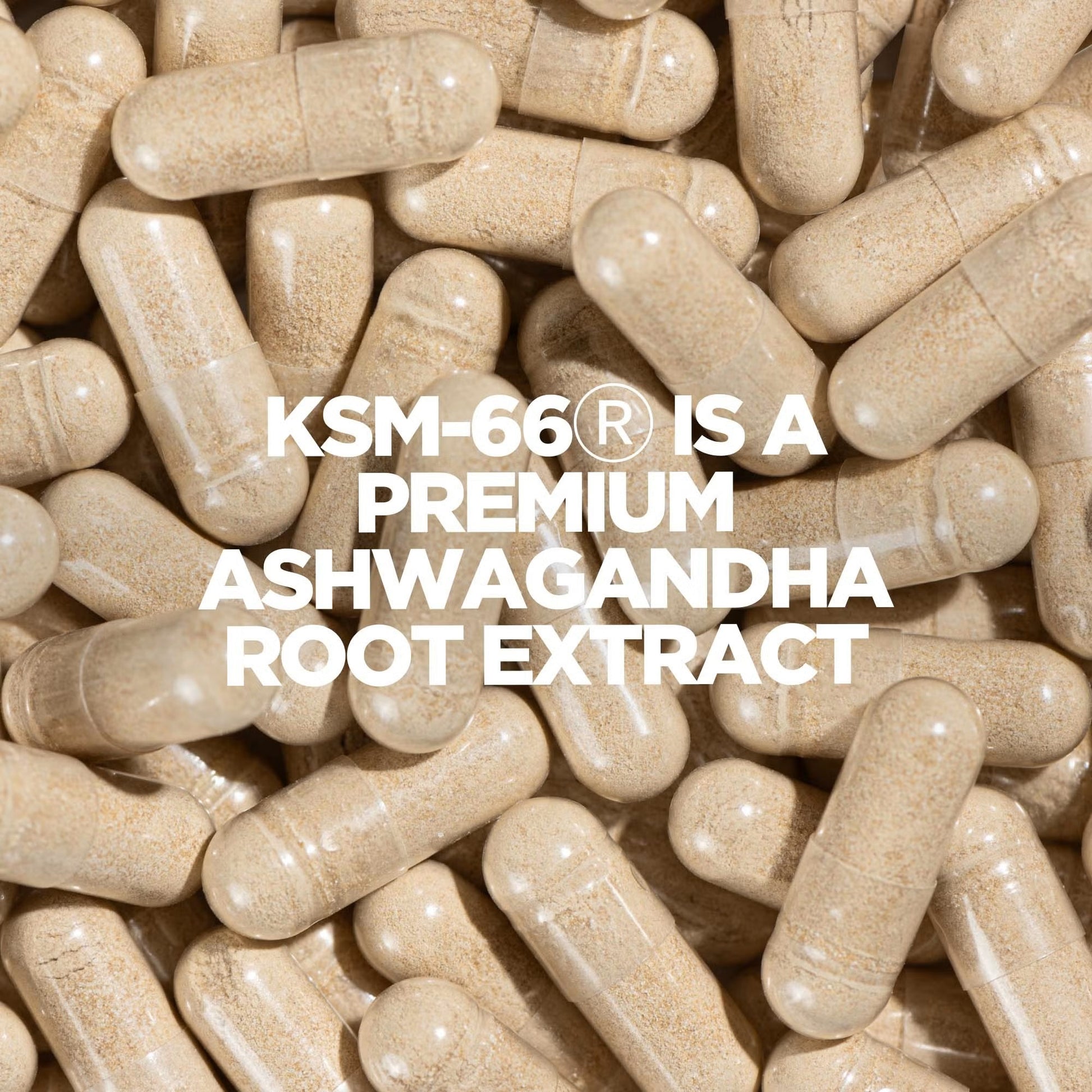 Ashwagandha KSM66 Capsules